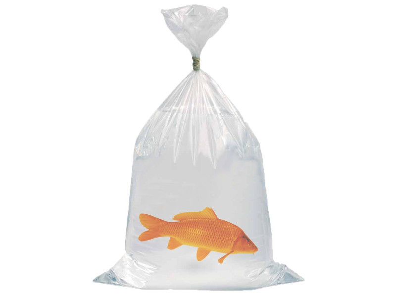 Vrečka za ribe 25 x 60 cm (250 kosov) 
